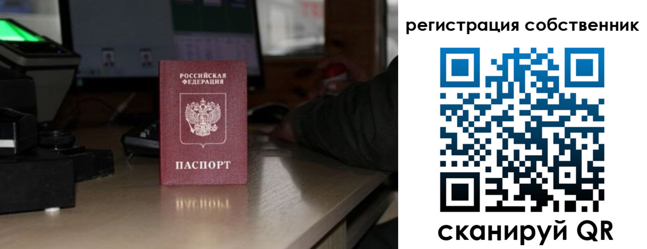 прописка поиск в Кузнецке
